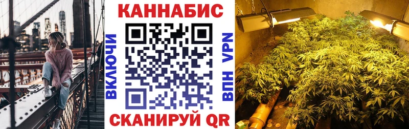 Конопля гибрид  купить закладку  Иваново 
